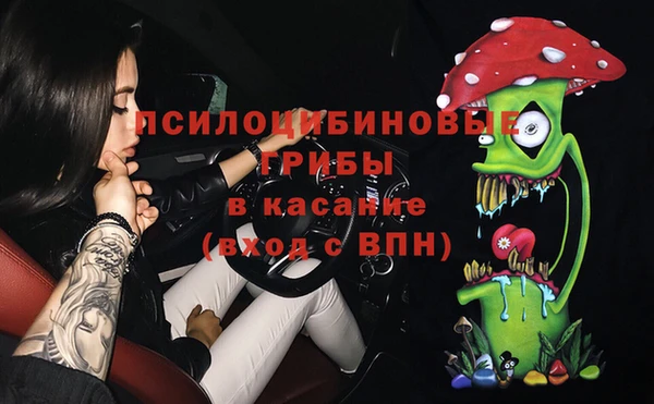 прущая мука Алзамай