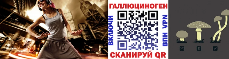 Галлюциногенные грибы прущие грибы  Куса 