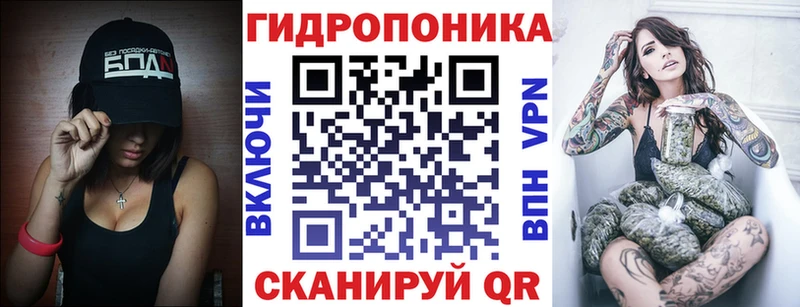 mega ссылка  Куса  Бошки Шишки семена  дарнет шоп 